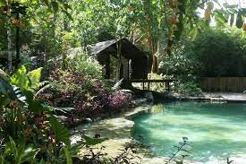 Hulu langat fishing resort is a strictly catch and release sport fishing pond. Rumahkebun An Ideal Getaway Villas For Rent In Hulu Langat Local Travel Holiday Travel Getaways
