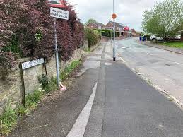 Grieving mum's emotional appeal after son's mystery death after 'being hit  by car'