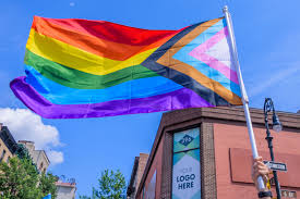 Rainbow flag is widely recognized symbol of the lgbt community and is seen at pride events all around the world. Pride Flags 101 Everything You Ve Ever Wanted To Know About Gay Trans And Other Pride Flags Them