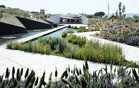 Vegetationen aus australien, südafrika, chile und kalifornien auf 14 hektar machen dies zu einem der größten parks der stadt und zu einem idealen ort, um der hektik der großstadt zu. Der Botanische Garten Von Barcelona Amics Del Jardi Botanic De Barcelona