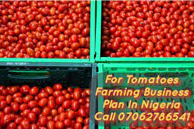 Pin On Business Plan