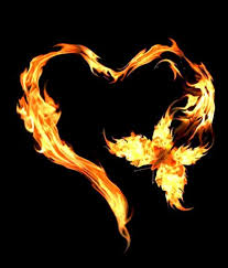 Epingle Par Mary Havannah Sur If I Only Had A Heart Coeur De Feu Gif Fleurs Dessin Phenix