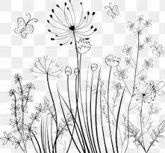 Low price guarantee, fast shipping & free returns, and custom framing options on all prints. Black And White Rose Drawing Images Black And White Rose Drawing Transparent Png Free Download