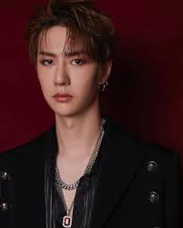 15 phim hay nhất của nam thần Hoa ngữ Vương Nhất Bác