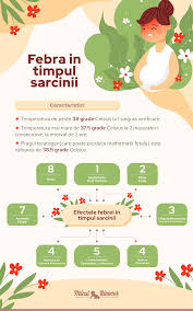 Check spelling or type a new query. Febra In Timpul Sarcinii