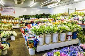 Maybe you would like to learn more about one of these? Oc Wholesale Flowers Premium Quality Low Prices