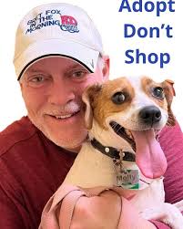 My Sunday Morning…. #TheMollyTheDog #RescuePups #CoffeeAndPups