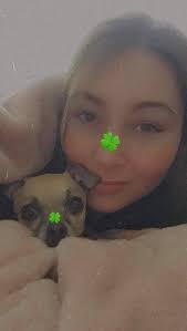 Lost dog Bonnie missing from Vinegar Hill, Hunterville