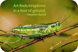 Grasshopper Totem And Symbolism Animal Totems Grasshopper Animal Medicine