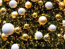 christmas, christmas tree, christmas time, decoration, christmas ...