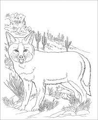 Download and print these desert animals coloring pages for free. Fox Desert Animals Coloring Pages Coloringbay