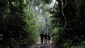 100% free online dating for amazon brazil singles at mingle2.com. Wood Laundering Brings Illegal Amazon Timber To Europe Report Environment All Topics From Climate Change To Conservation Dw 21 03 2018