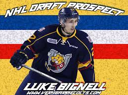 Barrie Colts 2019 Draft Prospect Luke Bignell Ohl