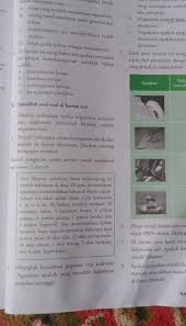 Soal dan jawaban ipa kelas vii semester 2 halaman 81 82 doc soal ipa kelas 7 semester 2 dan kunci jawaban kurikulum buku pegangan guru ipa smp mts kelas 7 kurikulum 2013 edisi. Soal Dan Jawaban Ipa Kelas Vii Halaman 167 Belajar Bersama