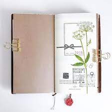 436 Likes 6 Comments Danwei Tran Luciani Danweitran On Instagram Decorated The Fi Travel Journal Pages Midori Travelers Notebook Diy Travelers Notebook
