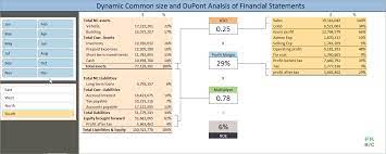 Dynamic Common Size And Dupont Analysis Financial Statements In Excel Pakaccountants Com Dupont Analysis Financial Statement Microsoft Excel Formulas