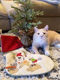 Canvas wall art, framed wall art, photography wall art Animal Control Officer Works Holiday Miracle The Cat Had A Paw In It Too Long Beach Post News