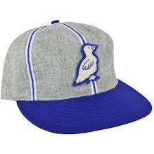 Dayton Ducks 1942 Ballcap Fitted Baseball Caps Ball Cap Baseball Cap