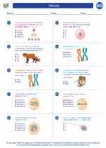 Topic is part of our unlectured series! Meiosis High School Biology Worksheets And Answer Keys Vocabulary Sets