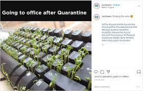 'lockdown 2 memes' are trending and these are the best of the bunch! Missing Office Days Memes You Might Relate To