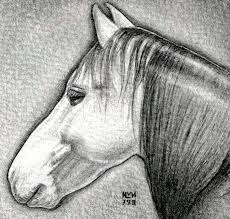 We did not find results for: How To Draw A Horse Head Step By Step Drawing Guide By Finalprodigy Dragoart Com