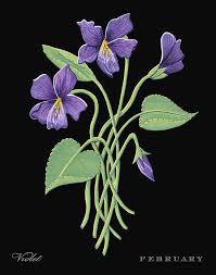 February's birth flowers are the violet and primrose. Birth Month Flowers Watercolor Violet Flowers February Botanical Art Watercolor Watercolor Art Collectibles Reyyanbotanik Com Tr