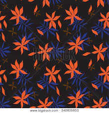 Your sure to find your perfect pattern here. Tropical Floral Vector Photo Free Trial Bigstock
