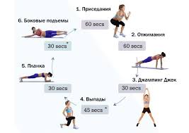 программа тренировок в тренажерном зале для похудения для девушек Programma Dlya Zanyatiya V Fitnes Zale Dlya Devushek Fun Workouts Workout Exercise Tubing