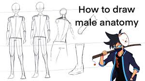 Fitness training tips drawing tips human figure drawing guy. Tutorial How To Draw Bodies For Anime Male Anatomy Youtube