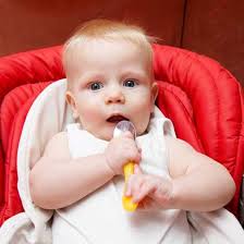 Elektrikli Pompa mı Manuel Pompa mı? Süt Sağma Makinesi Seçimi