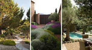 10 plantes pour un jardin mediterraneen jardin mediterraneen jardins arbustes a feuillage persistant