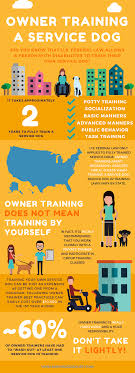 Did You Know That Disabled Individuals Are Legally Allowed To Train Their Own Service Dog In The Us With A Lo Moving To England Moving To The Uk London Tips