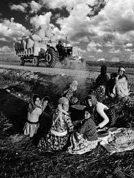 Adana 1968 Ara Guler Collection Fotografcilar Fotograf Ansel Adams