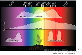 Led Light Spectrum Gocare Co