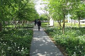 Maison De La Radio Mdp Paysagiste Paysage Amenagement Urbain