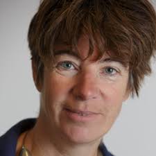 Artikelen van Corien Prins