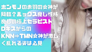 赤羽・王子 - ヘンタイ紙パンツ調査団