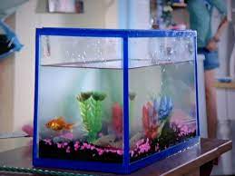 Let's not forget Chloe's aquarium in H2O just add water : r/shittyaquariums