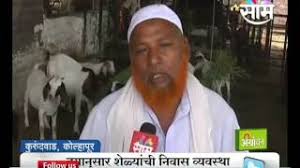 Get latest info on goat, suppliers, wholesale suppliers, retailers & traders with goat, bakri, bakra prices for buying. Success Story Of Kolhapur S Ahmed And Imran Brother S Goat Farming Youtube