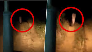 Real ghost sightings in pictures wed. Real Ghost Caught On Camera Paranormal Encounter Of Odisha Villagers With Eerie Figure In White Saree Is Giving Nightmares Viral Video Will Spook You Out Latestly