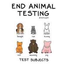 Brands that test on animals. Stop Animal Testing
