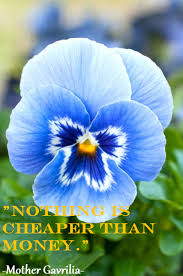 Pin On Quotes And Sayings