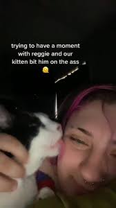 reggie is my mommas boy abd onyx is the spawn of satan (i love them both so  much)