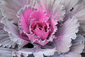 We did not find results for: 249 650 Pretty Design Photos Free Royalty Free Stock Photos From Dreamstime