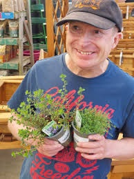 Lyndhurst Garden Centre