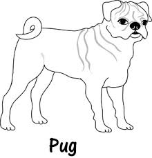 We did not find results for: Free Free Pug Clip Art Image 0515 1004 2703 3441 Animal Clipart