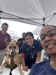 Beverly Luna's Instagram, Twitter & Facebook