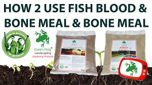 Buy the selected items together. How To Use Fish Blood Bone Meal Bone Meal Youtube