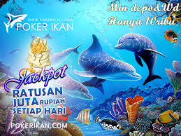Pin On Agen Judi Poker Ikan Agen Terpercaya