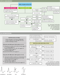 Diagnosis And Management Of Narrow And Wide Complex Tachycardia – ECG  Learning | Diagnosis, Acls Algorithm, Management